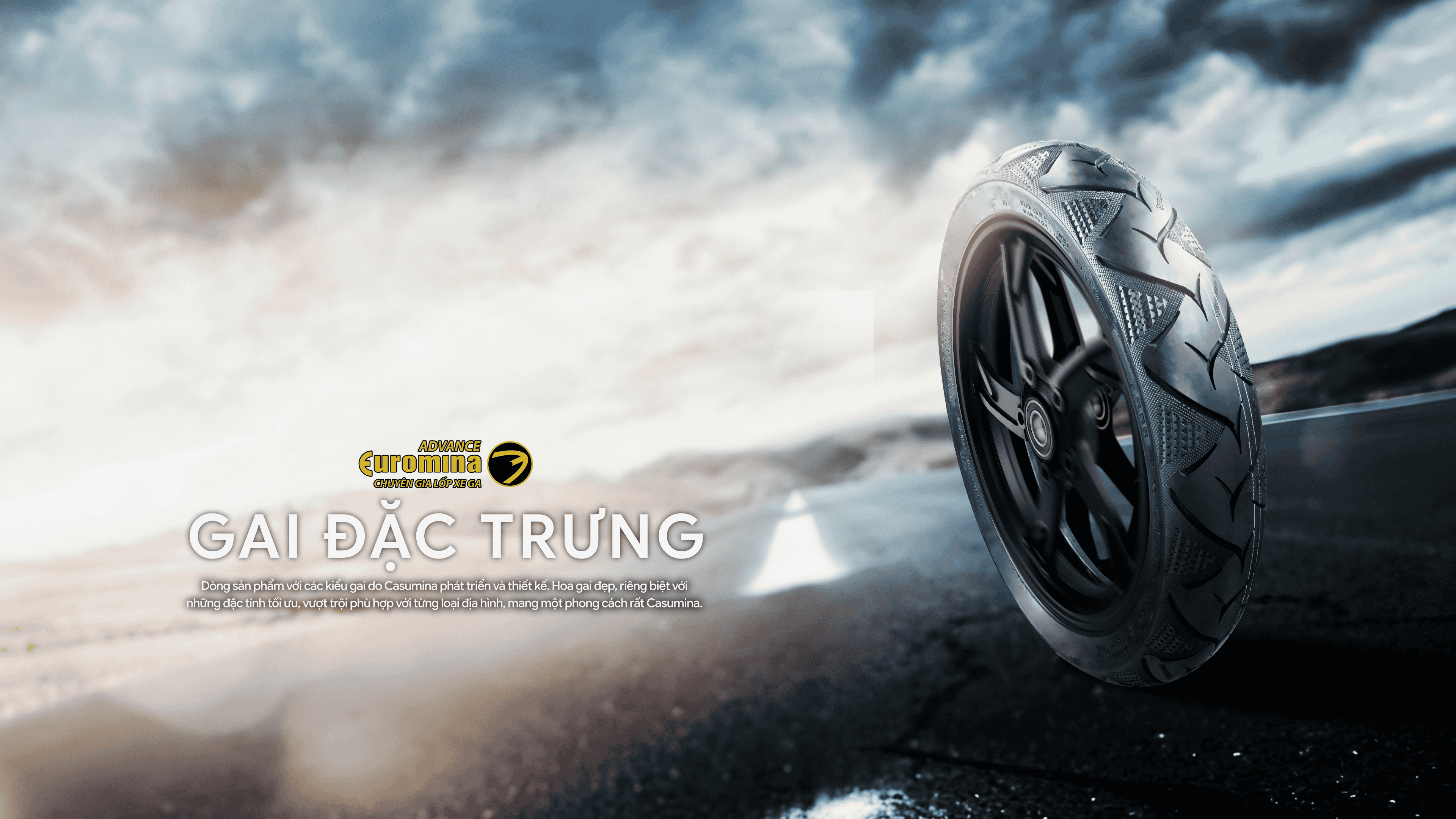 Lốp Tubeless (Euromina)